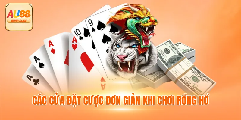 Các cửa đặt cược đơn giản khi chơi rồng hổ