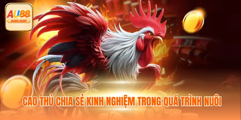 Cao thủ chia sẻ kinh nghiệm trong quá trình nuôi