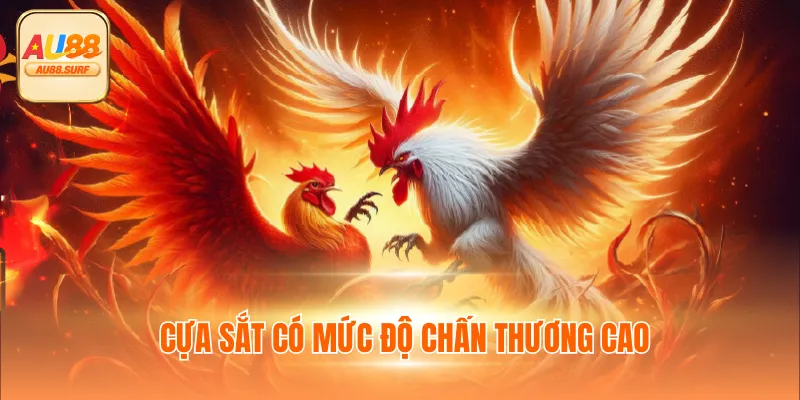 Cựa sắt tạo đòn đánh sát thương cao