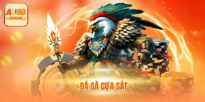 Đá Gà Cựa Sắt - Xem Trực Tiếp C1 Thomo Tại Au88 Mỗi Ngày