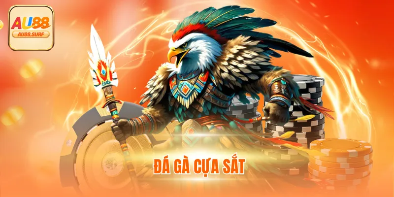 Đá Gà Cựa Sắt - Xem Trực Tiếp C1 Thomo Tại Au88 Mỗi Ngày
