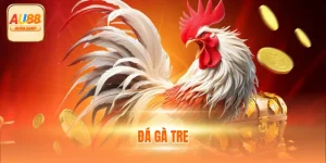 Đá Gà Tre Thú Vị Thế Nào? Tổng Hợp Thông Tin Cùng AU88