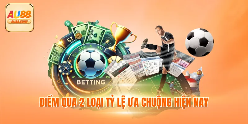 Điểm qua 2 loại tỷ lệ ưa chuộng hiện nay