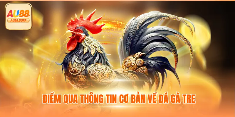 Đá Gà Tre Thú Vị Thế Nào? Tổng Hợp Thông Tin Cùng AU88