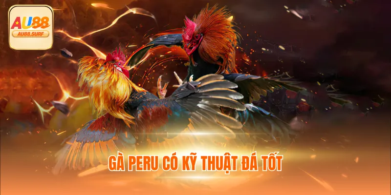 Gà Peru có kỹ thuật đá tốt