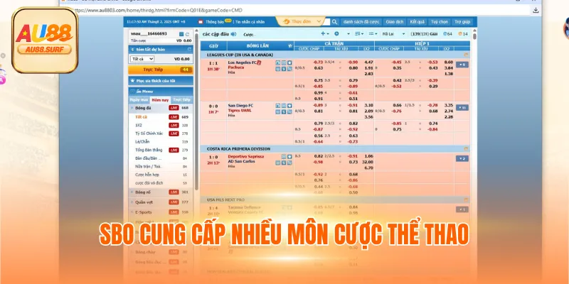 SBO cung cấp nhiều môn cược thể thao