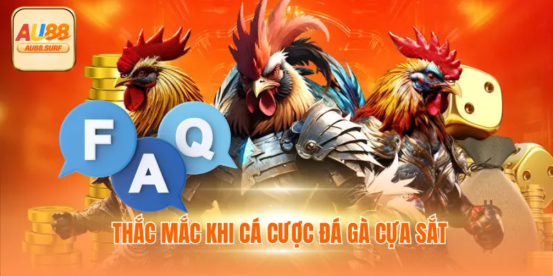 Thắc mắc khi cá cược đá gà cựa sắt