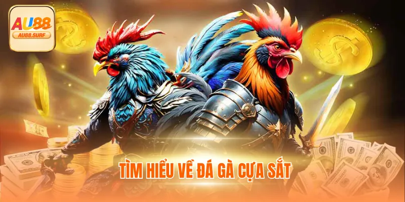 Tìm hiểu về đá gà cựa sắt