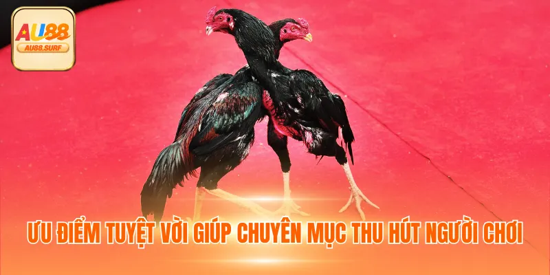 Ưu điểm tuyệt vời giúp chuyên mục thu hút người chơi